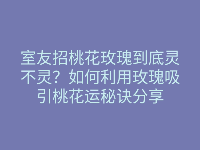 室友招桃花玫瑰到底灵不灵?如何利用玫瑰吸引桃花运秘诀分享