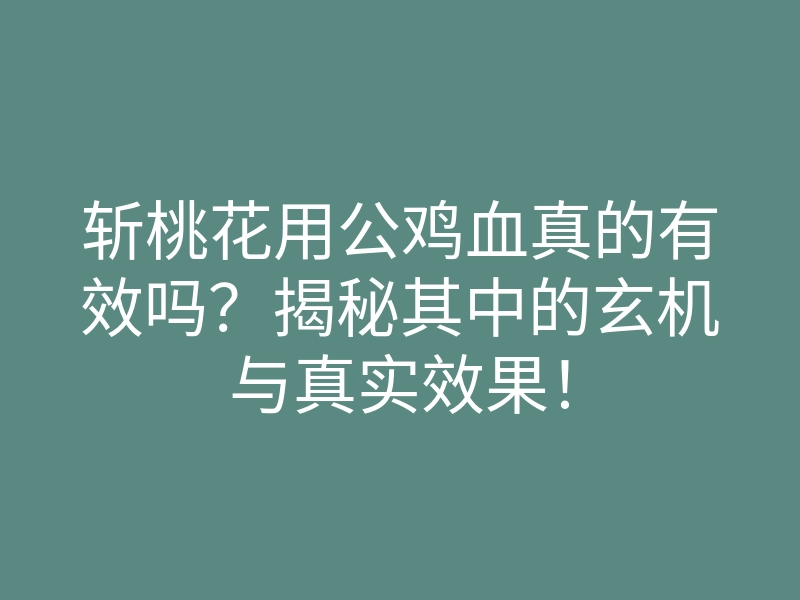 斩桃花用公鸡血真的有效吗?揭秘其中的玄机与真实效果!