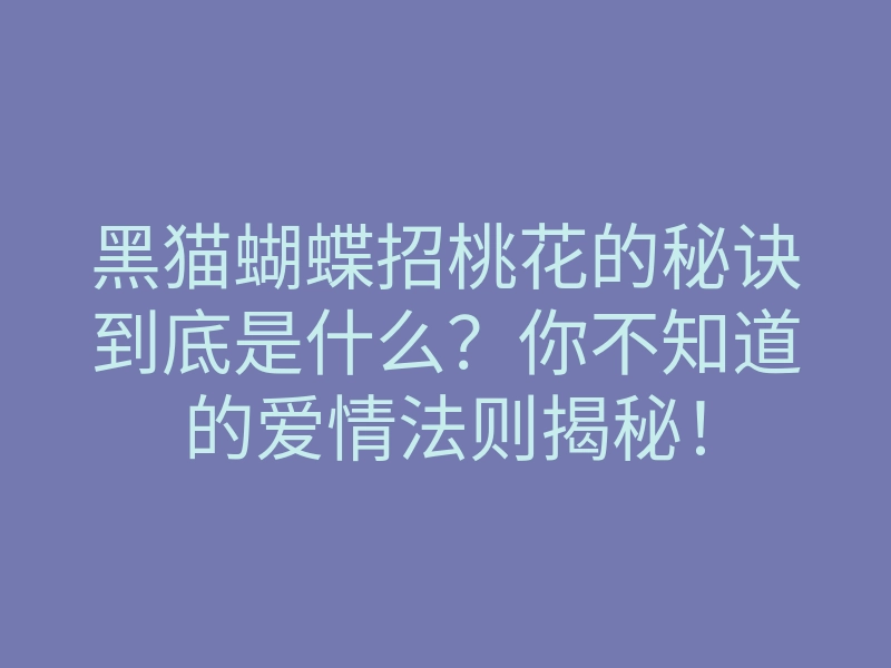 黑猫蝴蝶招桃花的秘诀到底是什么?你不知道的爱情法则揭秘!