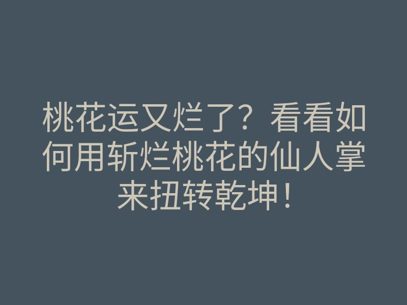 桃花运又烂了?看看如何用斩烂桃花的仙人掌来扭转乾坤!