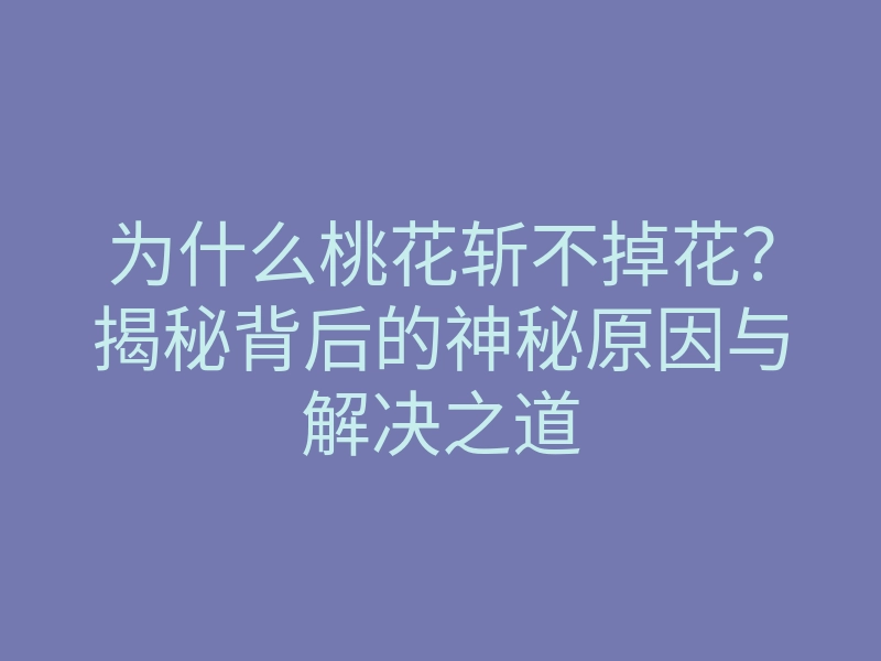 为什么桃花斩不掉花?揭秘背后的神秘原因与解决之道