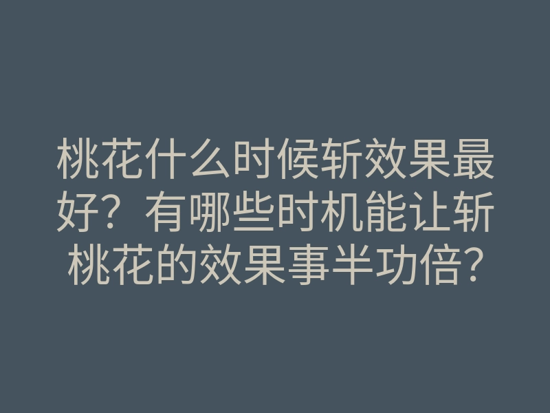 桃花什么时候斩效果最好？有哪些时机能让斩桃花的效果事半功倍？