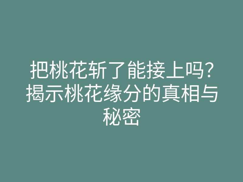把桃花斩了能接上吗？揭示桃花缘分的真相与秘密