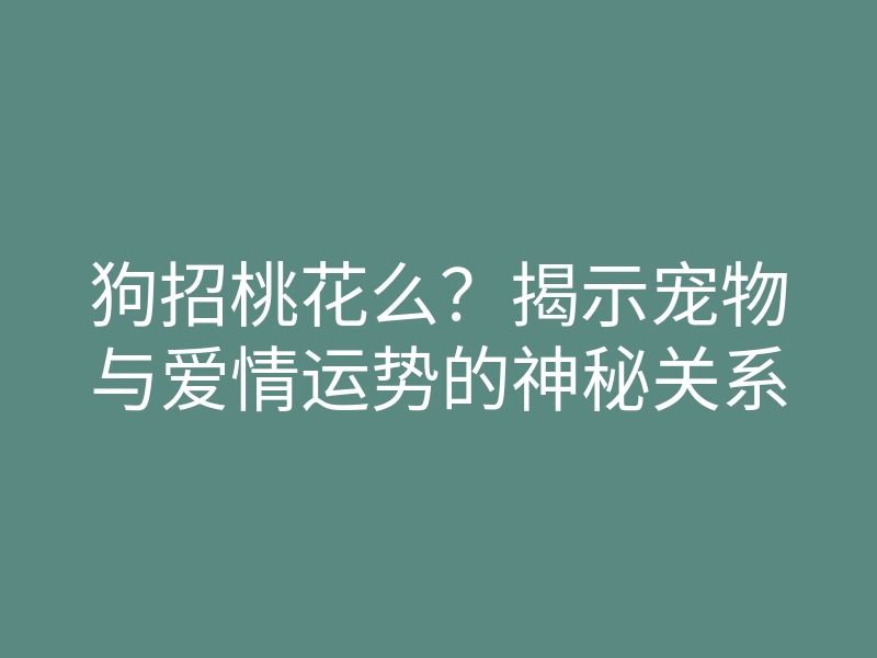 狗招桃花么?揭示宠物与爱情运势的神秘关系