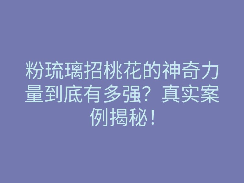 粉琉璃招桃花的神奇力量到底有多强?真实案例揭秘!