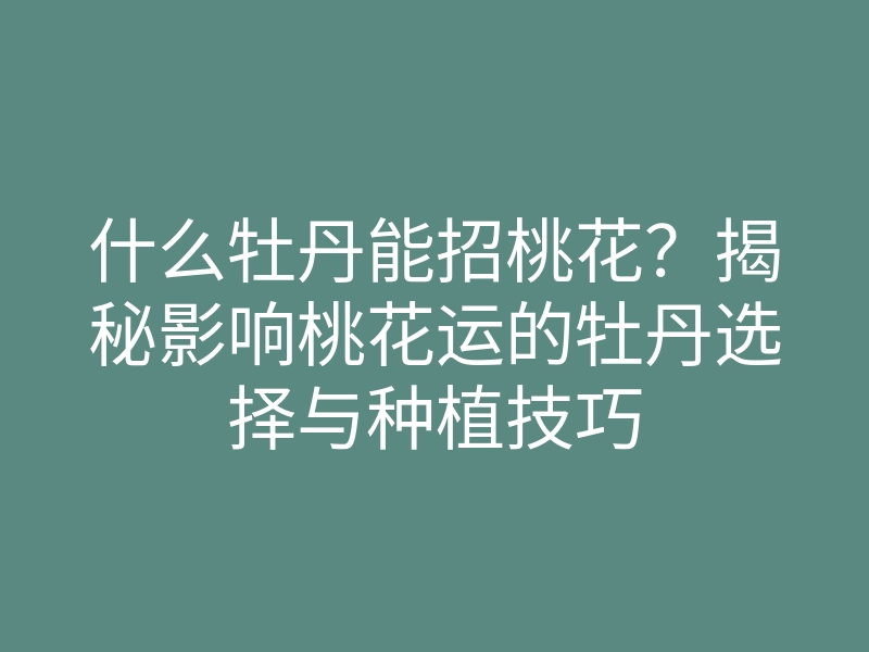 什么牡丹能招桃花?揭秘影响桃花运的牡丹选择与种植技巧
