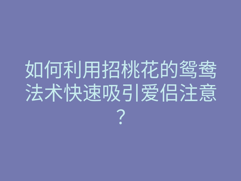 如何利用招桃花的鸳鸯法术快速吸引爱侣注意？