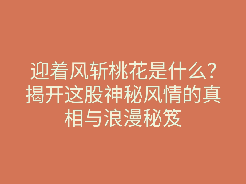 迎着风斩桃花是什么?揭开这股神秘风情的真相与浪漫秘笈