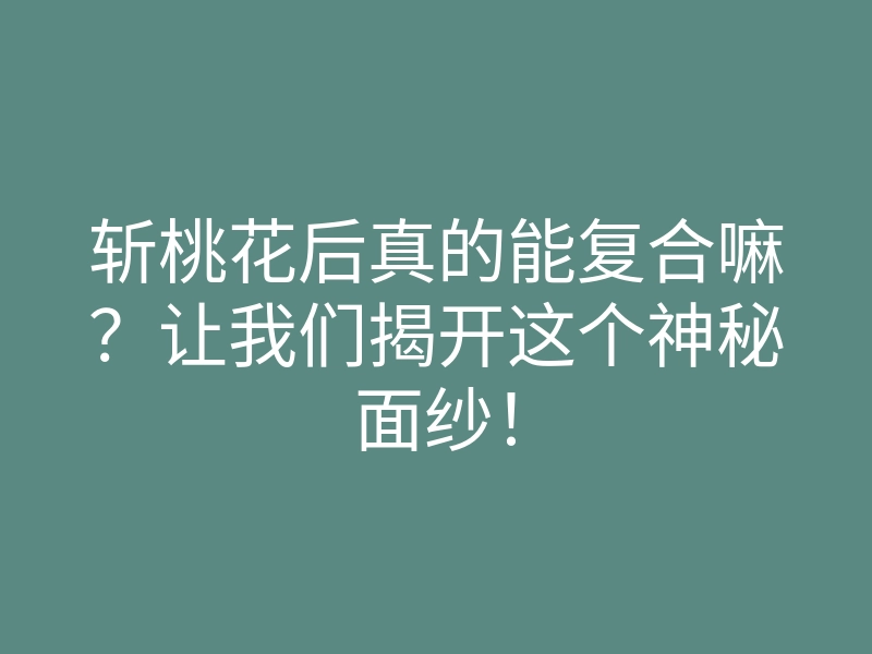 斩桃花后真的能复合嘛?让我们揭开这个神秘面纱!
