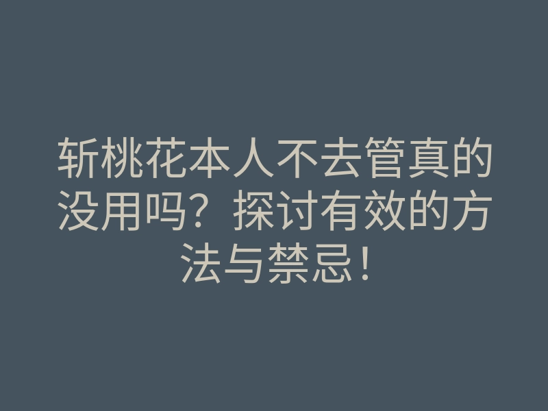 斩桃花本人不去管真的没用吗?探讨有效的方法与禁忌!