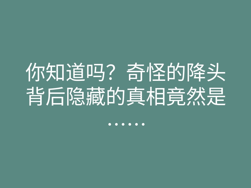 你知道吗？奇怪的降头背后隐藏的真相竟然是……