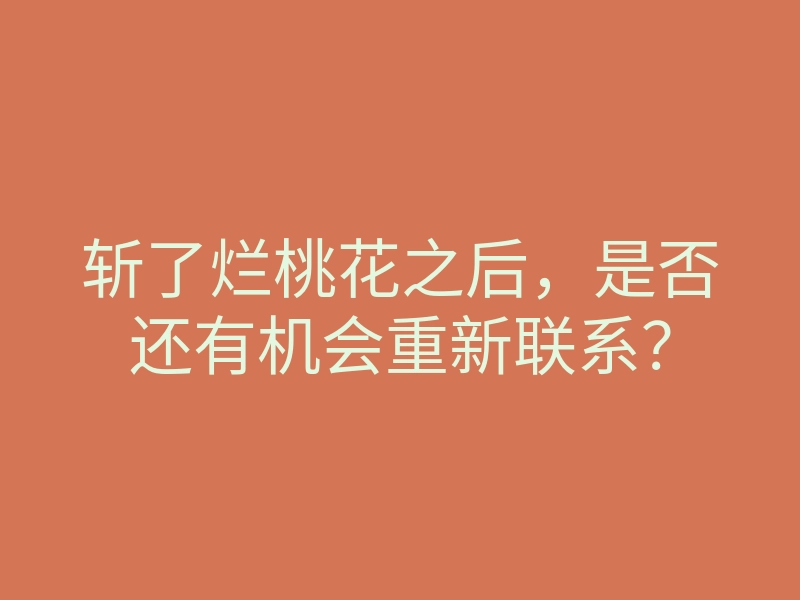 斩了烂桃花之后，是否还有机会重新联系？