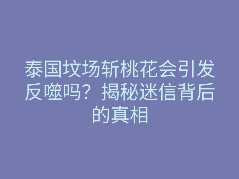泰国坟场斩桃花会引发反噬吗?揭秘迷信背后的真相