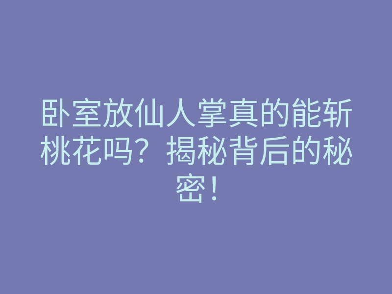 卧室放仙人掌真的能斩桃花吗?揭秘背后的秘密!