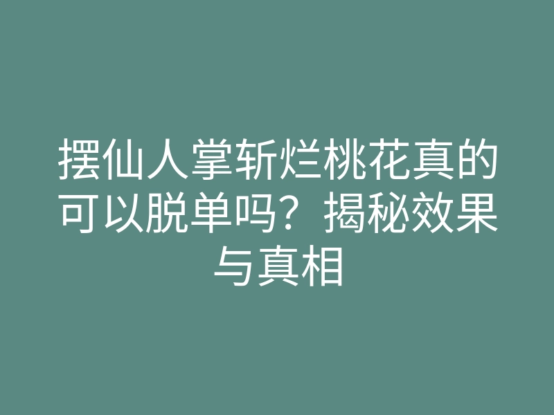 摆仙人掌斩烂桃花真的可以脱单吗?揭秘效果与真相