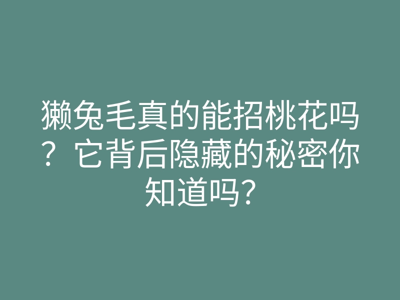 獭兔毛真的能招桃花吗?它背后隐藏的秘密你知道吗?