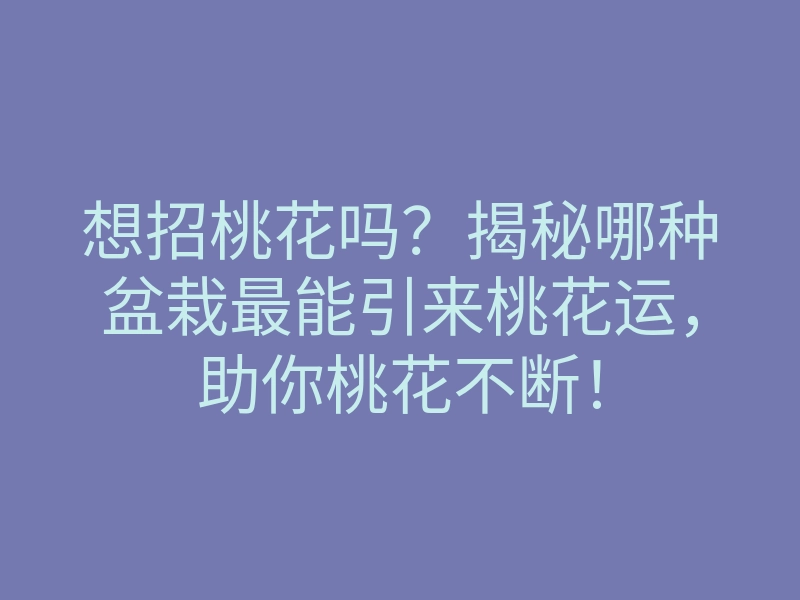 想招桃花吗?揭秘哪种盆栽最能引来桃花运,助你桃花不断!