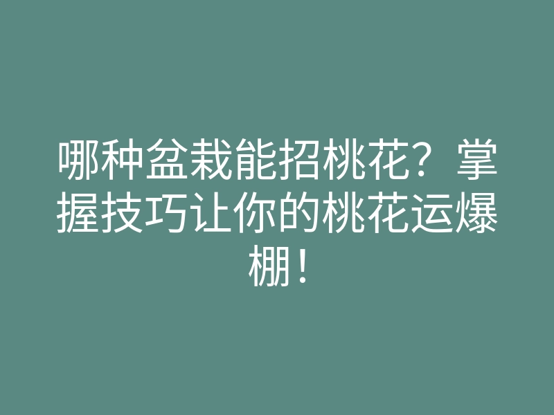 哪种盆栽能招桃花？掌握技巧让你的桃花运爆棚！