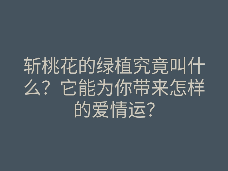 斩桃花的绿植究竟叫什么?它能为你带来怎样的爱情运?