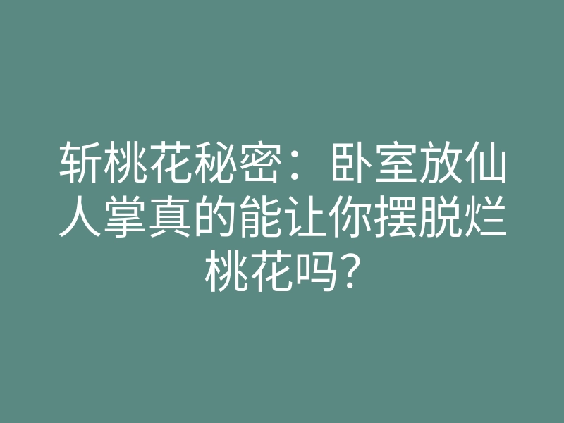斩桃花秘密:卧室放仙人掌真的能让你摆脱烂桃花吗?
