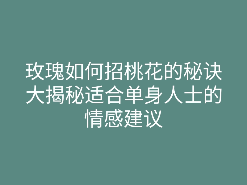 玫瑰如何招桃花的秘诀大揭秘适合单身人士的情感建议