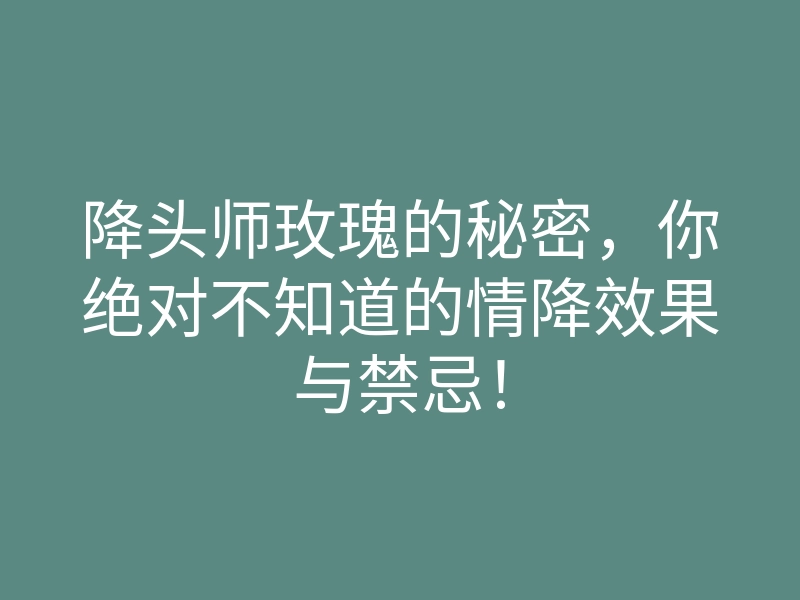 降头师玫瑰的秘密,你绝对不知道的情降效果与禁忌!