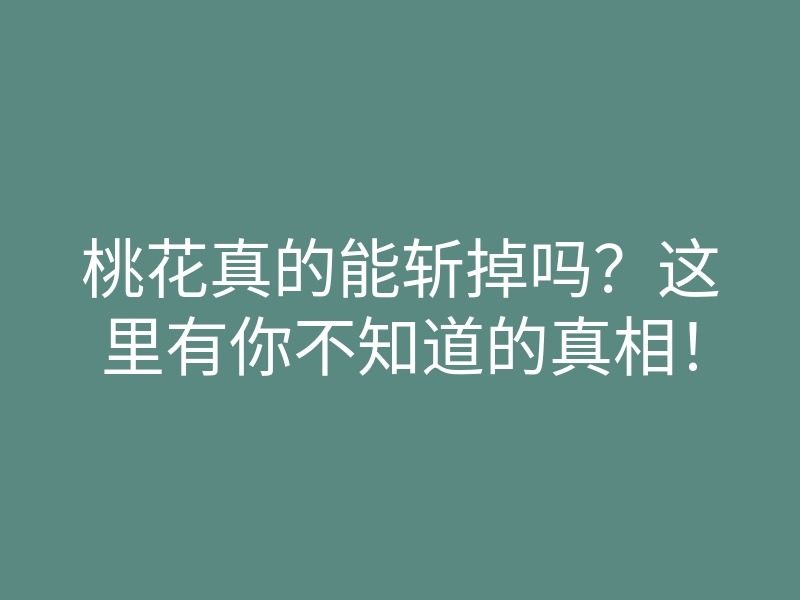 桃花真的能斩掉吗?这里有你不知道的真相!