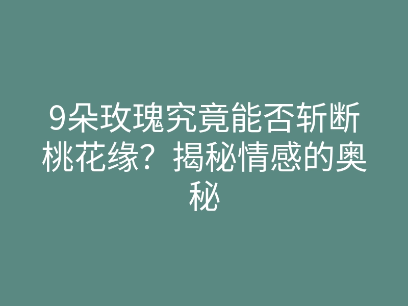 9朵玫瑰究竟能否斩断桃花缘？揭秘情感的奥秘