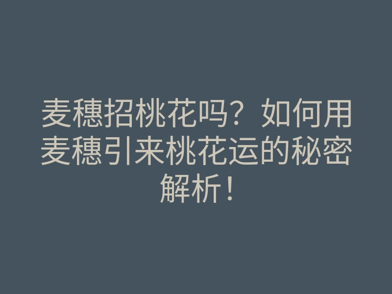 麦穗招桃花吗?如何用麦穗引来桃花运的秘密解析!