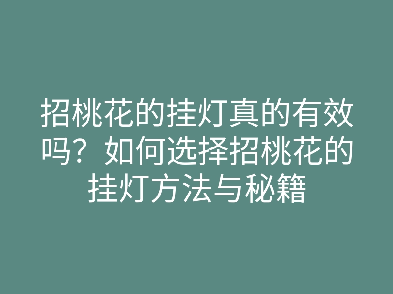 招桃花的挂灯真的有效吗?如何选择招桃花的挂灯方法与秘籍