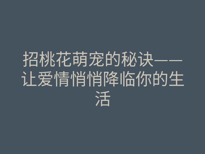 招桃花萌宠的秘诀——让爱情悄悄降临你的生活