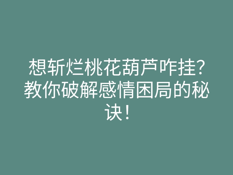 想斩烂桃花葫芦咋挂?教你破解感情困局的秘诀!