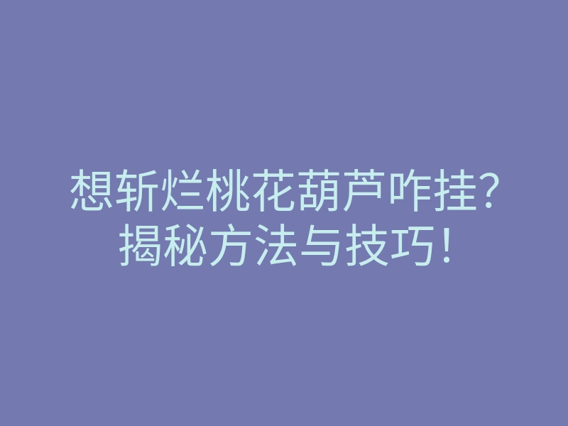 想斩烂桃花葫芦咋挂？揭秘方法与技巧！