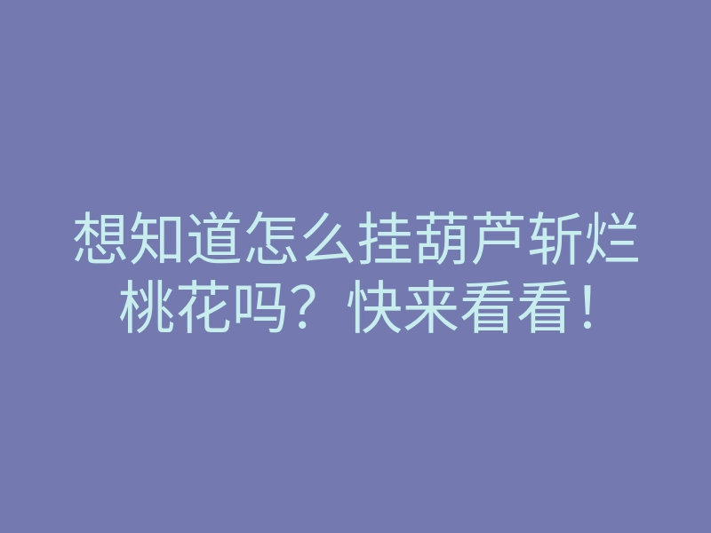 想知道怎么挂葫芦斩烂桃花吗?快来看看!