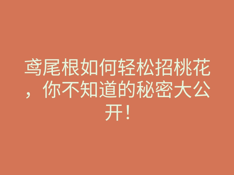鸢尾根如何轻松招桃花,你不知道的秘密大公开!