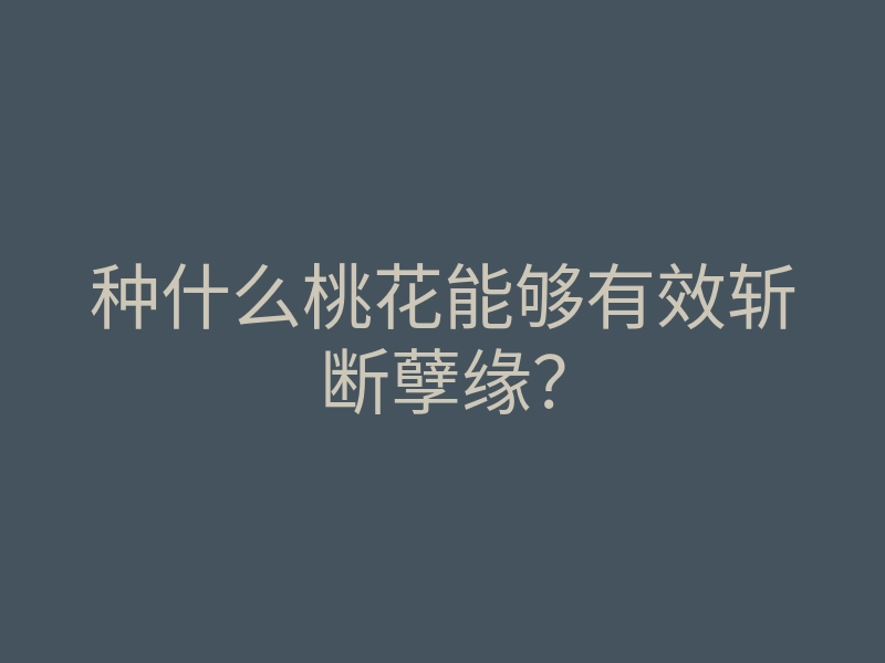 种什么桃花能够有效斩断孽缘?