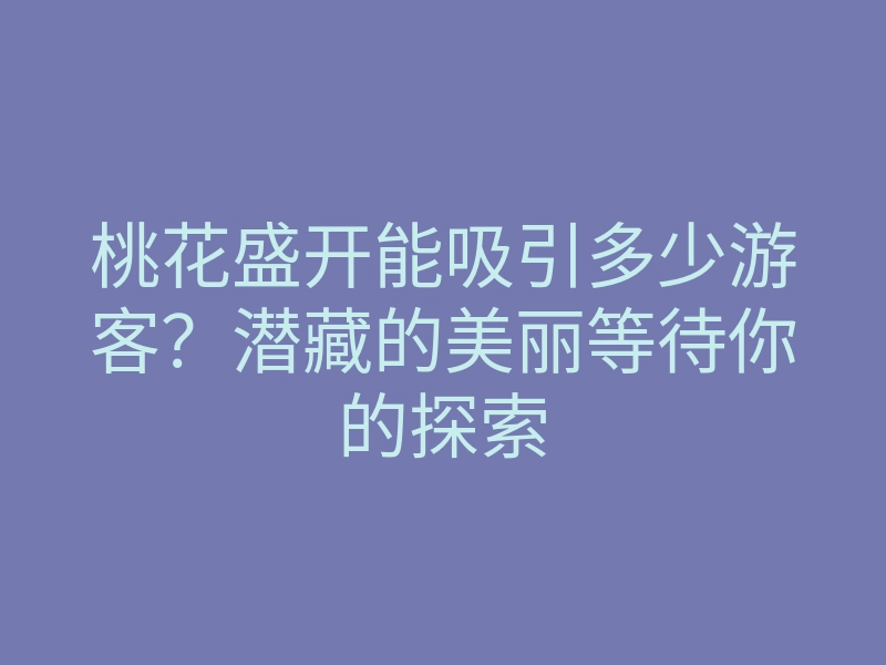 桃花盛开能吸引多少游客?潜藏的美丽等待你的探索