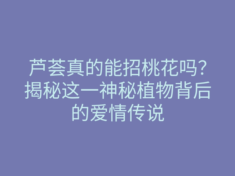 芦荟真的能招桃花吗?揭秘这一神秘植物背后的爱情传说