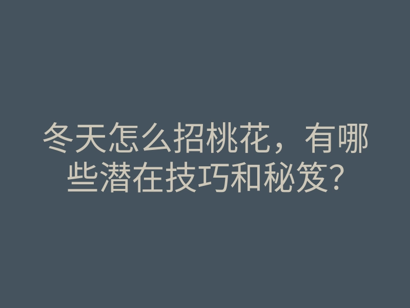 冬天怎么招桃花,有哪些潜在技巧和秘笈?