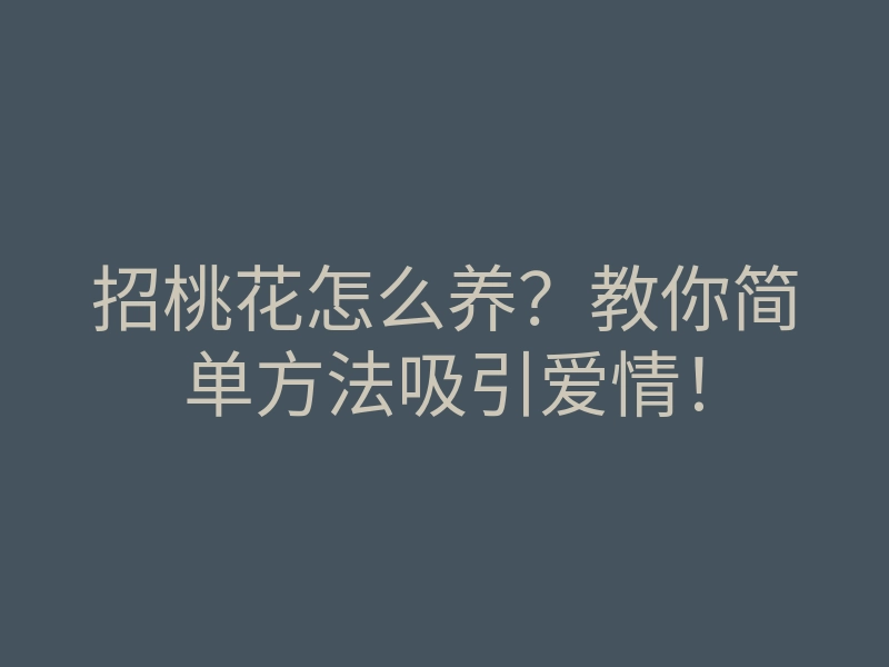 招桃花怎么养?教你简单方法吸引爱情!