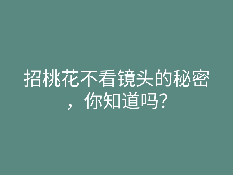 招桃花不看镜头的秘密,你知道吗?