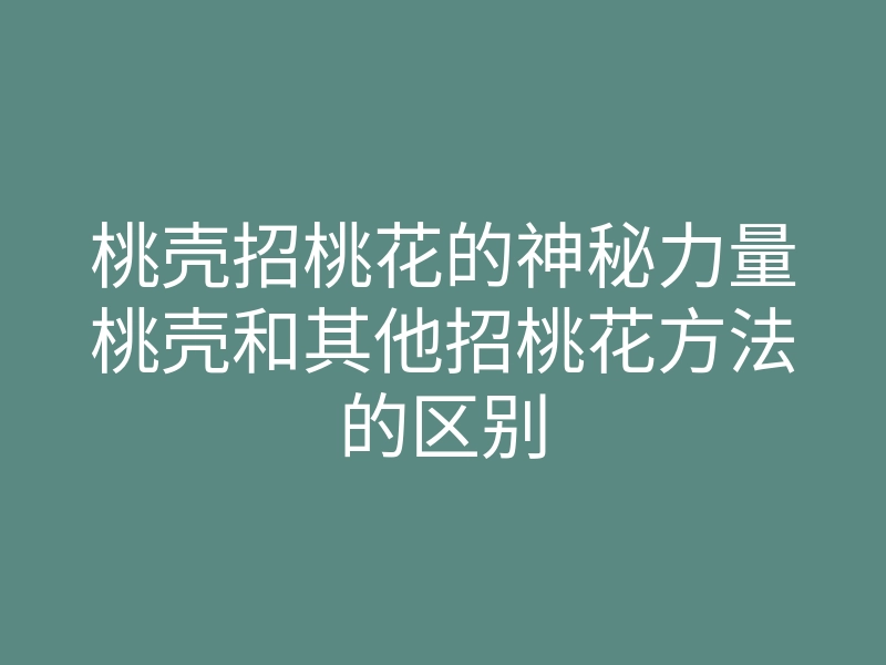 桃壳招桃花的神秘力量桃壳和其他招桃花方法的区别