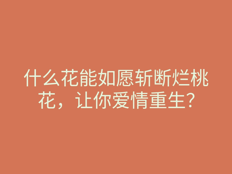 什么花能如愿斩断烂桃花,让你爱情重生?