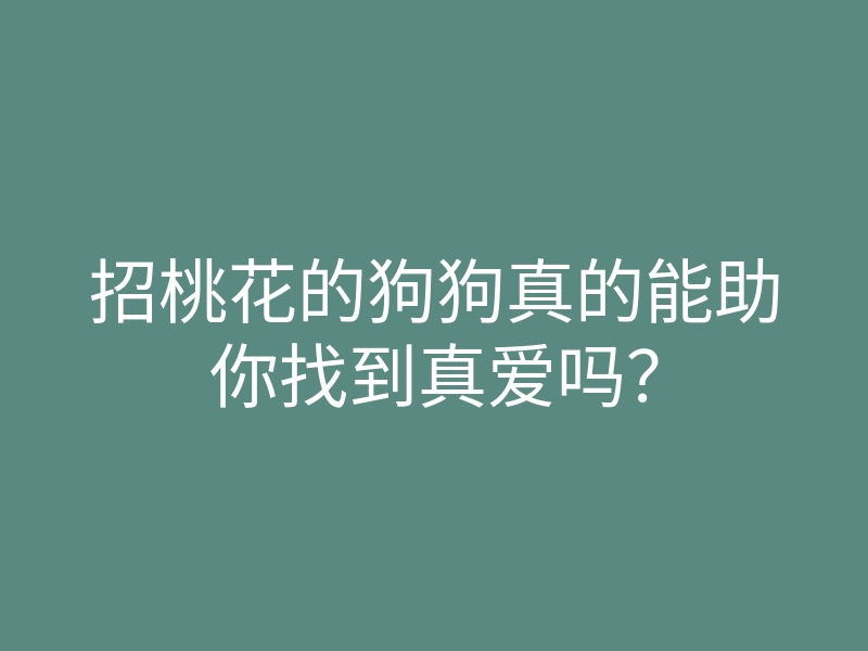 招桃花的狗狗真的能助你找到真爱吗?