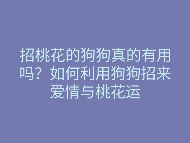 招桃花的狗狗真的有用吗?如何利用狗狗招来爱情与桃花运