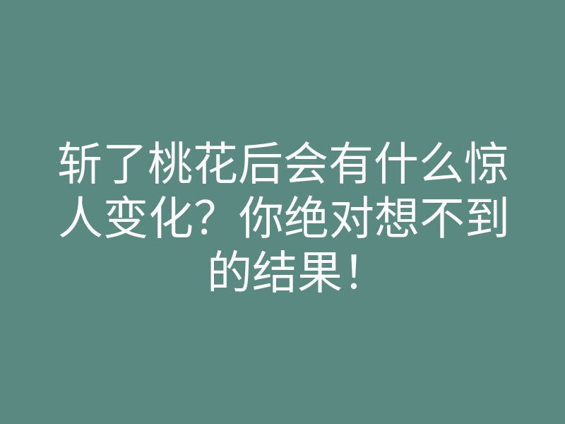 斩了桃花后会有什么惊人变化?你绝对想不到的结果!