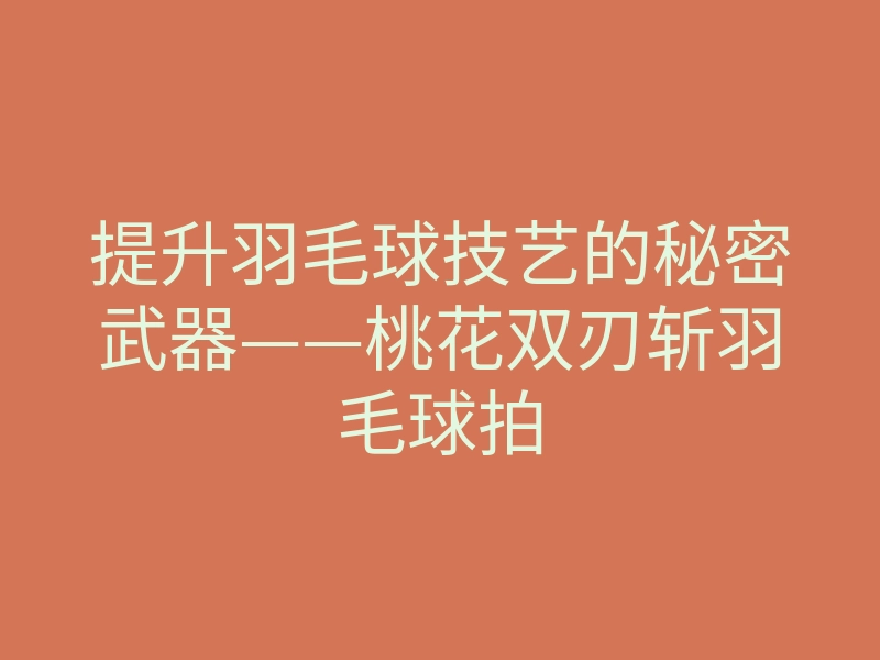 提升羽毛球技艺的秘密武器——桃花双刃斩羽毛球拍