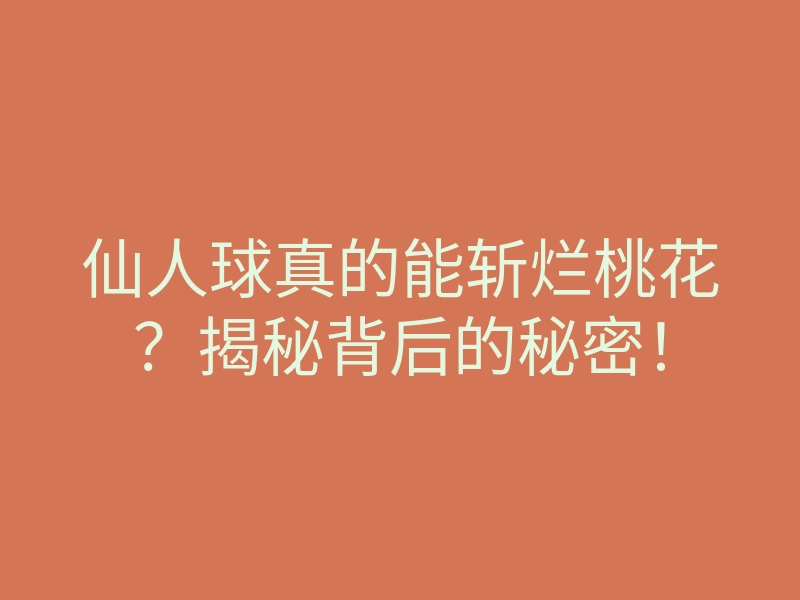 仙人球真的能斩烂桃花?揭秘背后的秘密!