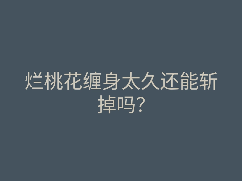 烂桃花缠身太久还能斩掉吗?