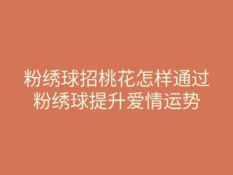 粉绣球招桃花怎样通过粉绣球提升爱情运势